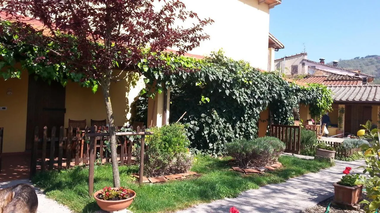 Agriturismo Gravanella Daire Castelfranco Piandisco